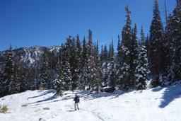 Winter scenery [sun sep 25 12:55:55 mdt 2016]